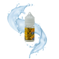 ZARA MINISHOT 10ML HOLYVAPE